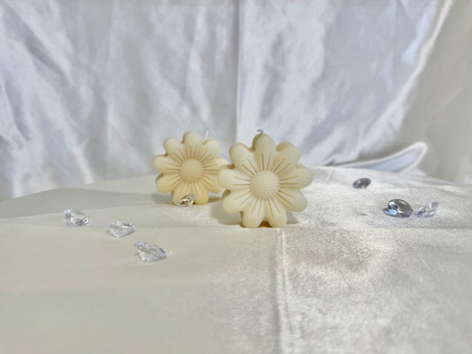 Daisy Dreams